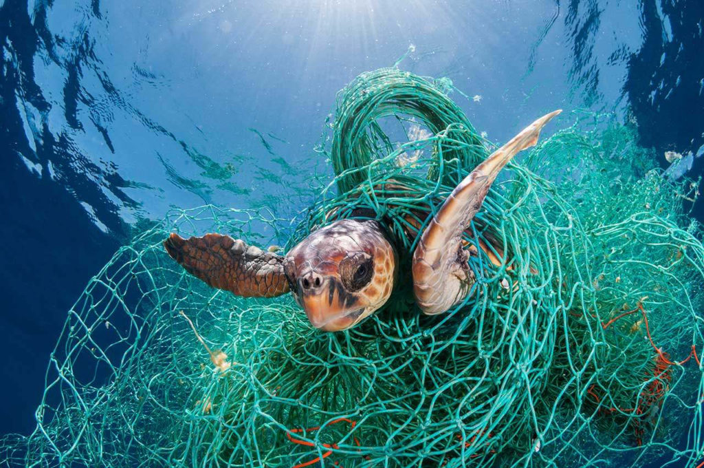 Aquafil tackles Cocos Island fishing line